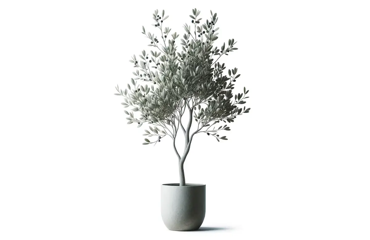 Decorative Olive Tree CAD Block - AppisCAD