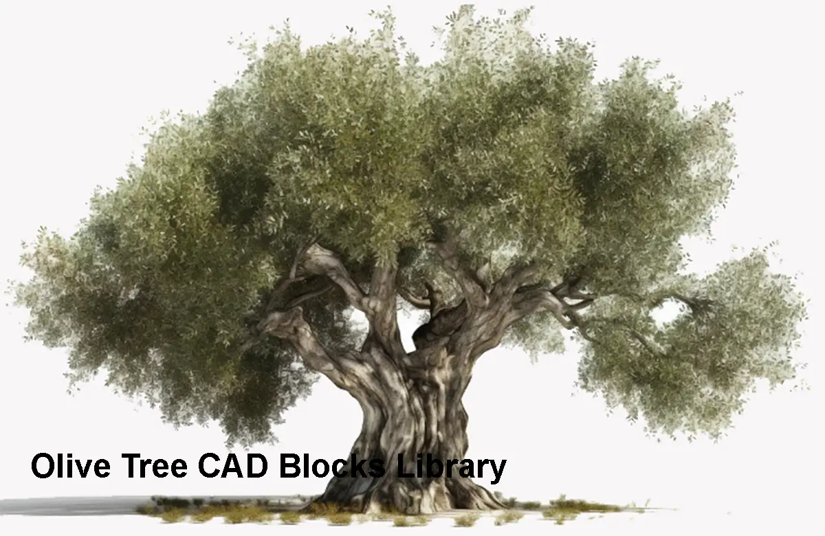 Olive Tree CAD Blocks - Free Download - AppisCAD